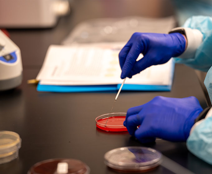 UTSA students search soil for new antibiotics in innovative STEM project