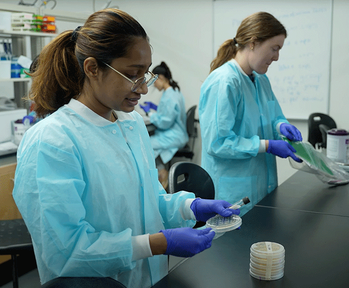 UTSA students tackle antibiotic resistance through soil research
