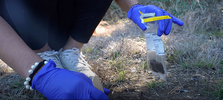 UTSA students tackle antibiotic resistance through soil research