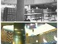 John Peace Library: Then and Now
