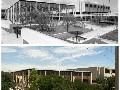 John Peace Library: Then and Now
