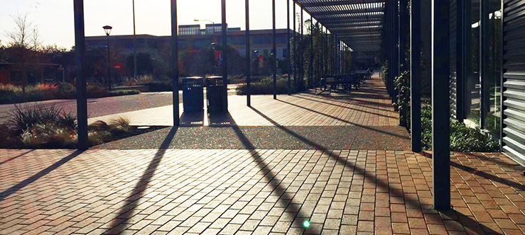 UTSA photo of the day